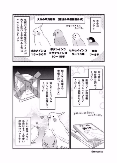 小鳥 飼う前 デメリット 漫画 モー助 インコ 文鳥