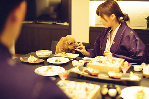 JALワンワンJETツアー