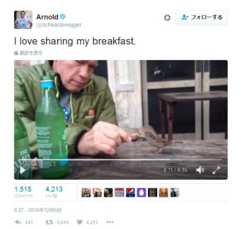 小鳥にパンをやるアーノルド・シュワルツェネッガー