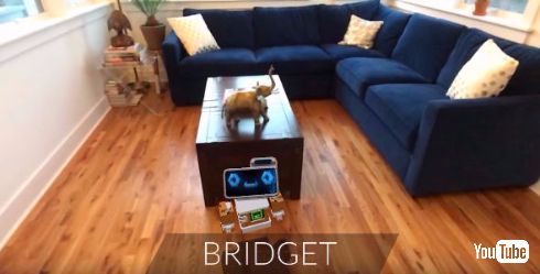 小型ロボットのBRIDGET