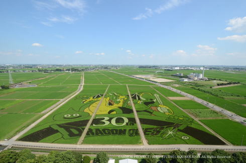 田んぼアート2016