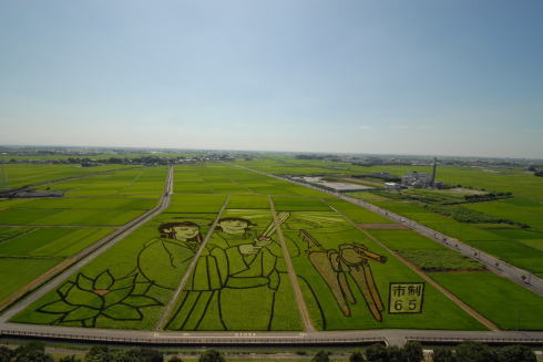 田んぼアート2014