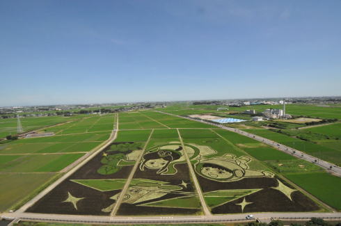 田んぼアート2015