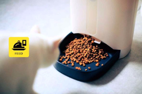 猫 自動えさやり器 ネコメシフィーダー ネコリパブリック スマホ