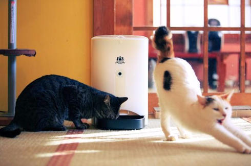 猫 自動えさやり器 ネコメシフィーダー ネコリパブリック スマホ