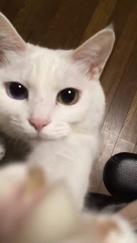 マロちゃんの肩ポン