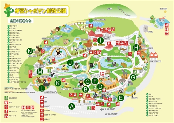 伊豆シャボテン動物公園・カピバラ