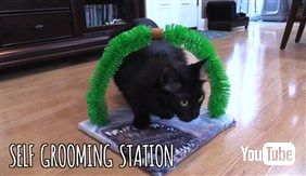 猫さま用「ご主人の膝枕クッション」や「いらいらタッパー」を作っちゃう