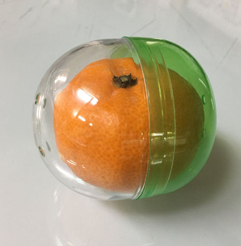 みかんカプセル