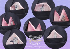 ポケニャンチーフ