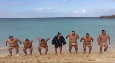 千代鳳ジャンプ動画「飛ぶよー」