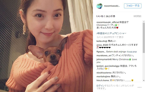 佐々木希 犬