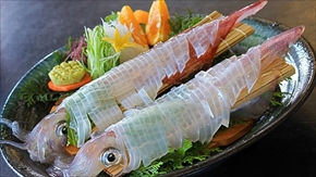 ユーリ佐賀コラボ