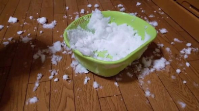 フェレット 雪 はしゃぐ テト 元気