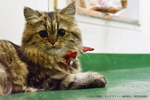 カンパチ船長写真集