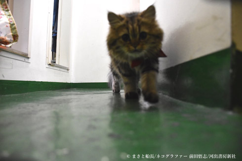 カンパチ船長写真集