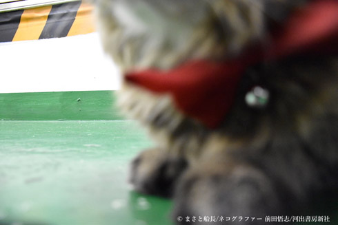 カンパチ船長写真集