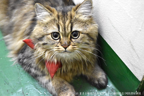 カンパチ船長写真集