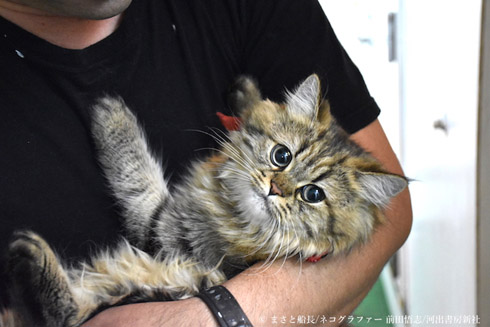 カンパチ船長写真集