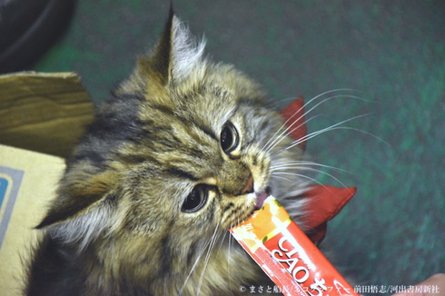 カンパチ船長写真集