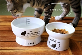 猫飯碗・猫水盃