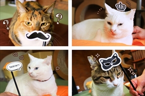 猫飯碗・猫水盃