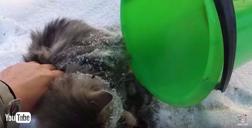 お湯で解凍