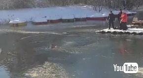 ロシア 公園 池 凍る 犬 救助 飛び込み