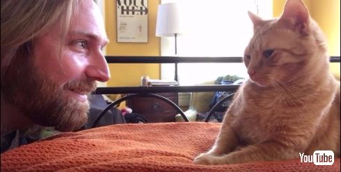 何が起こっているのかわからないネコ