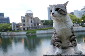 ニャン吉 写真集 旅 猫 笑う門には福来る