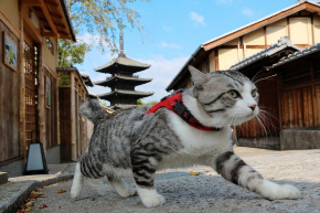 ニャン吉 写真集 旅 猫 笑う門には福来る