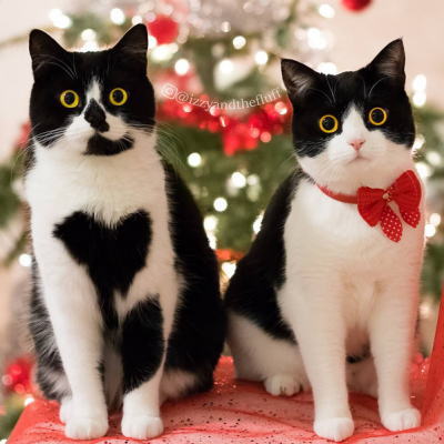 Izzy＆Zoë