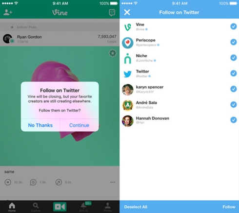「Vine」のサービス終了／新アプリの配信開始が1月17日に決定