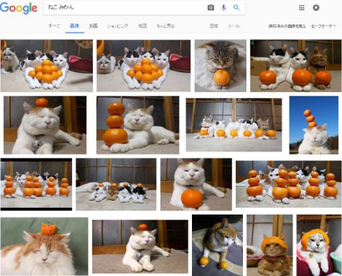 猫 みかん 乗せ 父親