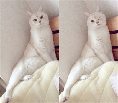 おすすめ