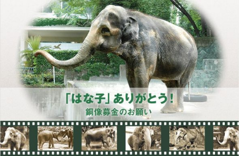 はな子 ゾウ 銅像 井の頭自然文化園 募金