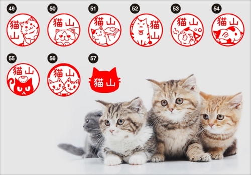 ねこずかん　ねこめいし