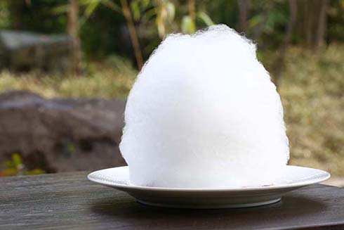 雪解けモンブラン