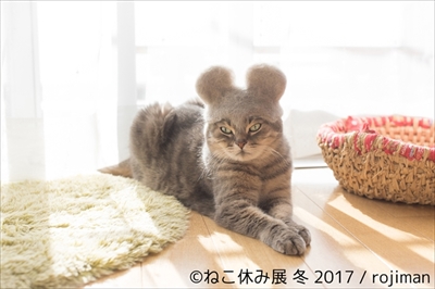ねこ休み展 冬