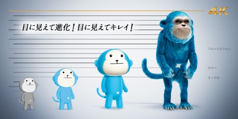 ひかりTV 4K 比較 猿