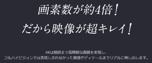 ひかりTV 4K 比較 猿