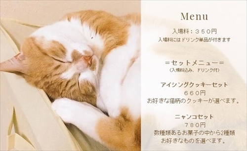 ねこねこわっしょい