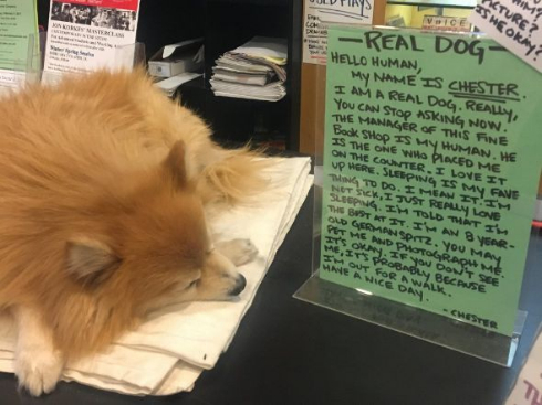 犬 寝る 本屋 本物 掲示