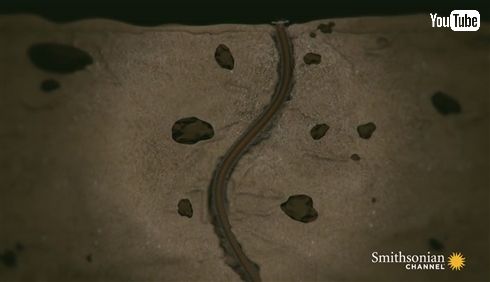 お魚さん逃げてー！　地中からニョキッと襲い掛かるオニイソメのハンターっぷり