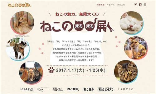 ねこのまるまる展