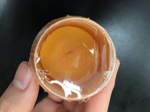 ニワトリの卵 48時間 生中継 ニコニコ生放送 孵化