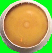 ニワトリの卵 48時間 生中継 ニコニコ生放送 孵化