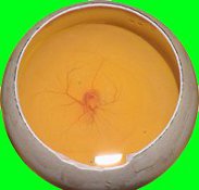 ニワトリの卵 48時間 生中継 ニコニコ生放送 孵化