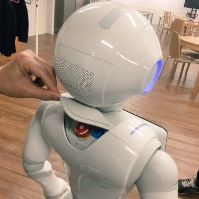 ペッパーくん 緊急停止ボタン ロボ 暴走