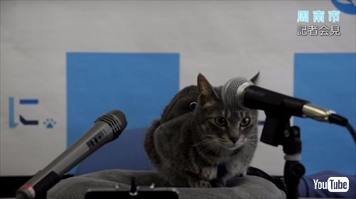 しゅうニャン市